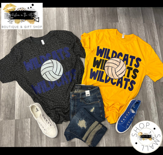 WildCats Ventage Volleyball