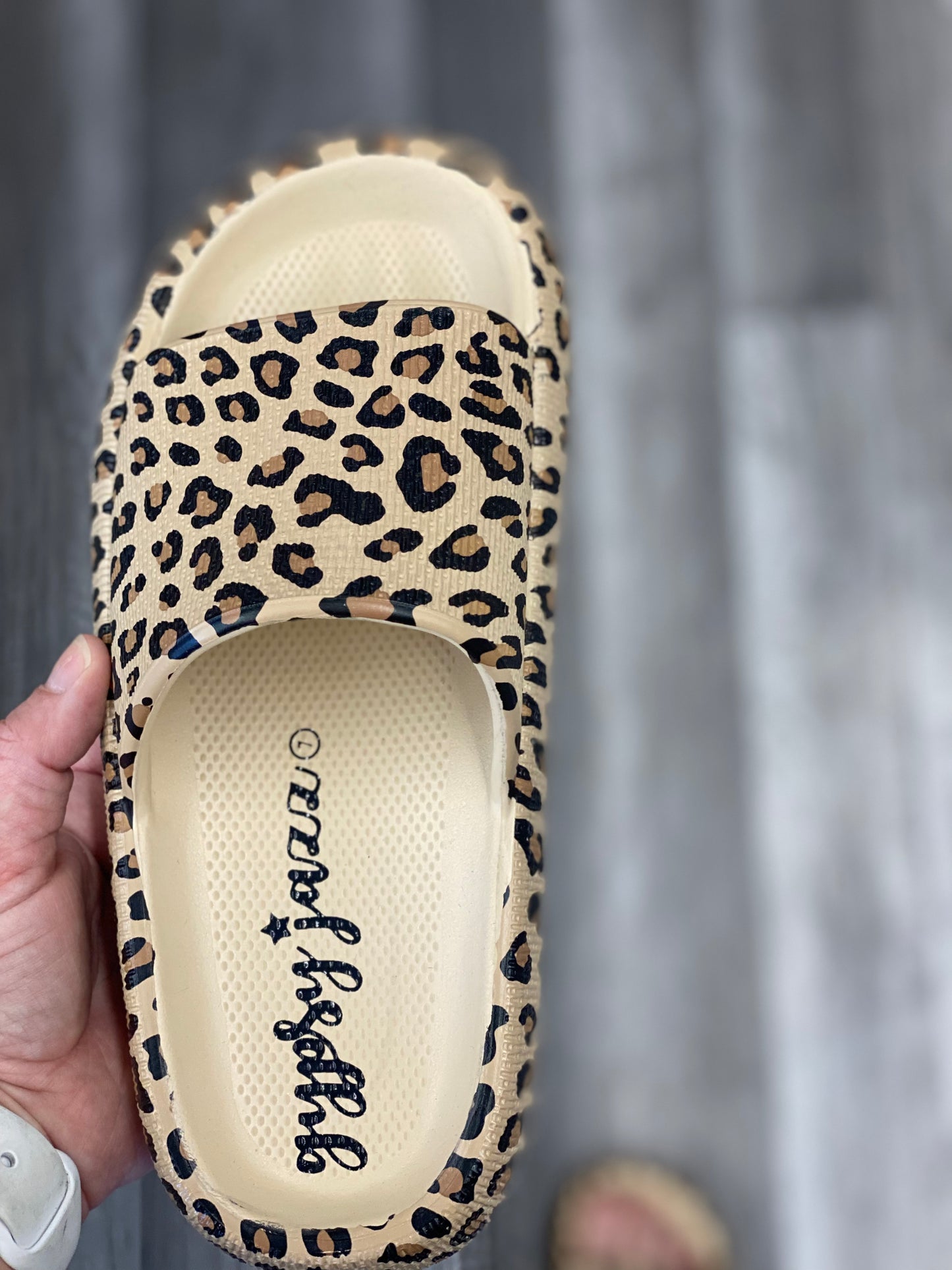 Leopard Julius Cloud slides